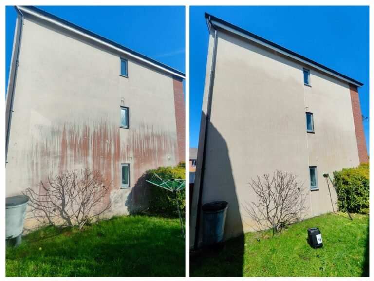 Red Algae Removal Combe Dingle